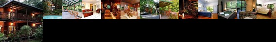 Red Mill House in Daintree