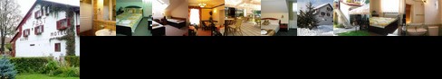 Pension Hotel Fast Radauti