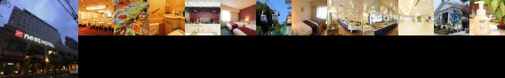 Matsuyama Washington Hotel Plaza