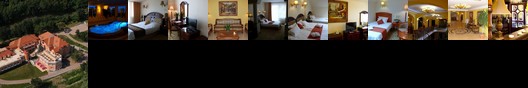 Hotel Bellevue Esztergom