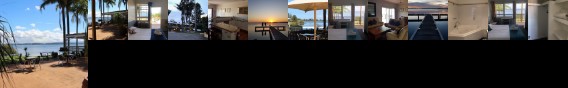 Squid's Ink Hotel