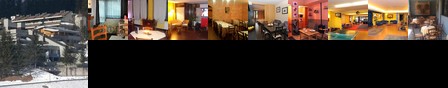 Myosotis Hotel
