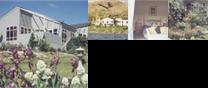 Lake Dunstan Lodge