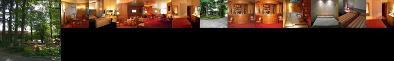 Hotel Pagoda