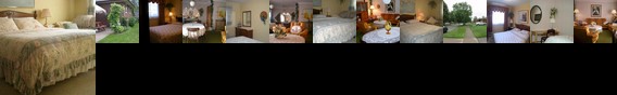 Ollie's B&B