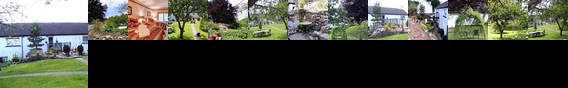 Trewan Bed and Breakfast
