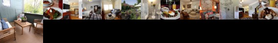 Vintage Towers Bed and Breakfast Inn