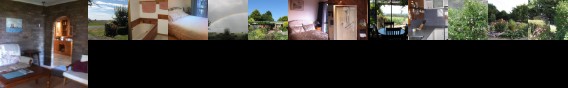 Blueberry B & B
