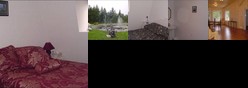 La Magie Du Sous-Bois Inc