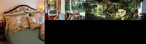 Mt Huia Farmstay