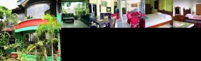 Chadea Hotel