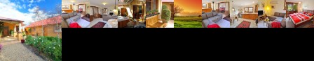 Stephanette's Cottage