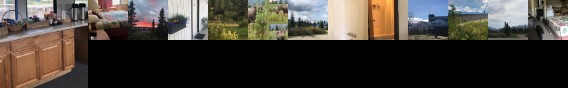Denali Park Hotel