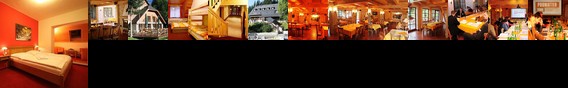 Horsky Hotel Vidly