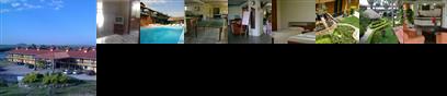 Hotel Gold Fish