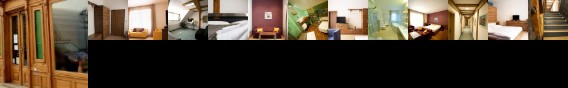 Hotel Cerny Orel