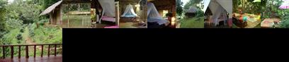 The Rainforest Retreat Hotel