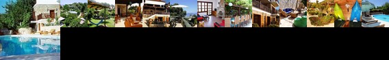 Lazy Lizard Hotel