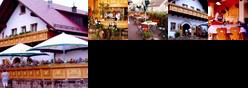 Hotel-Hauensteiner-Hof