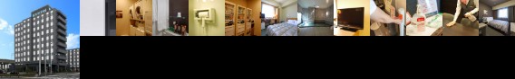 Hotel Route Inn Tokonameekimae