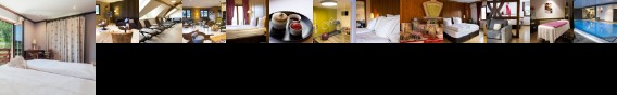 Hotel Spa Et Restaurant Au Chasseur