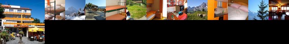 Adrenalin Backpackers Hostel