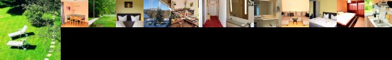 Pension Elan