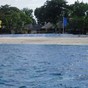 Balicasag Island Dive Resort