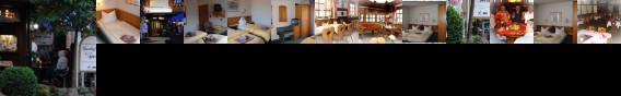 Gasthof Stern Burgsinn