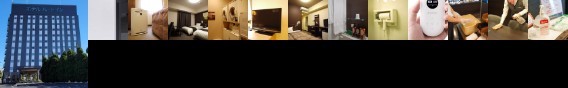 Hotel Route Inn Ota