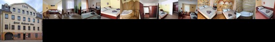 Hotel Goldener Lowe Zeulenroda