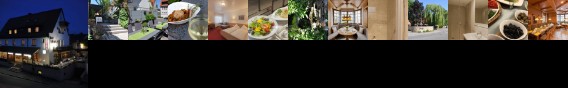 Lowen Hotel & Restaurant Wendlingen