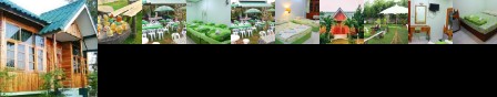 Green View