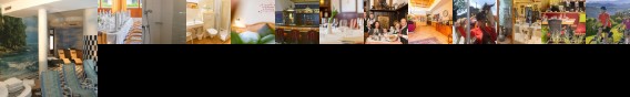 Hotel Post Honigwirt