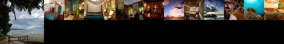 The Wild Orchid Resort