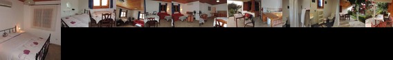 Alonia House