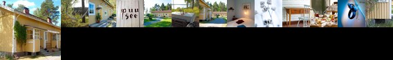 B&B Pinus