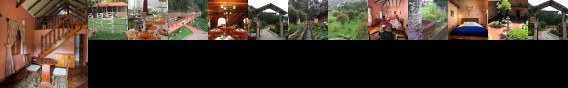 Posada del Puruay