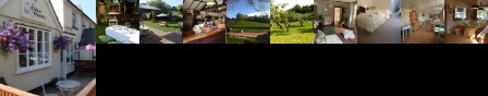 Forest Tea House