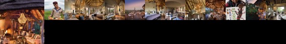 Madikwe Safari Lodge