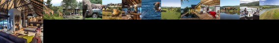 Kariega Game Reserve - Ukhozi Lodge