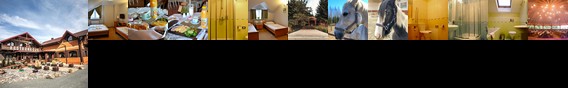 Hotel Trzy Podkowy