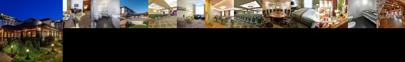 Hotel Szafran