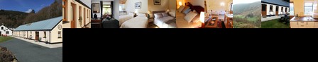Wilderness Lodge B&B