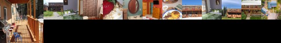 A Mooseberry Inn B&B