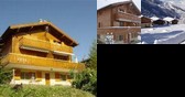 Jasmin - Burchen