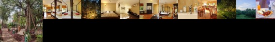 Gir Birding Lodge