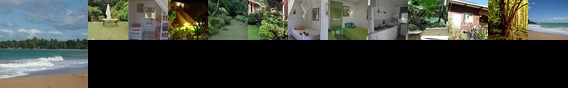 Guest House Kotesi