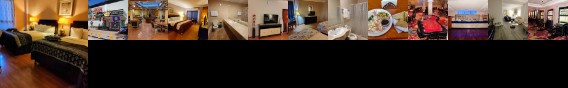 Princess Hotel & Casino Free Zone