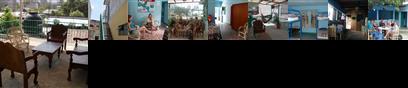 Marvelus Hostel